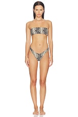 Oates Printed Skimpy Bikini Bottom - thumbnail 7