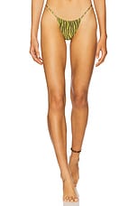 Jane Skimpy Printed Fixed Sides String Bikini Bottom - thumbnail 4