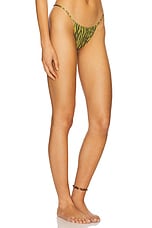 Jane Skimpy Printed Fixed Sides String Bikini Bottom - thumbnail 5