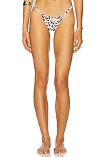Magnolia Skimpy Printed Fixed Bikini Bottom - thumbnail 4
