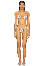 Magnolia Skimpy Printed Fixed Bikini Bottom - thumbnail 7