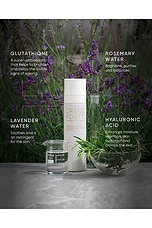 Lavender Face Cream With Glutathione - thumbnail 6