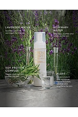 Lavender Foam Cleanser - thumbnail 6