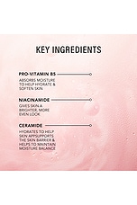 That Glow Hydrating Mist - thumbnail 8