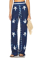 Aziza Pant