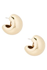 Gemma Hoops