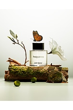 Frequency Eau De Parfum - thumbnail 7