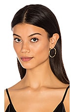 Product image of joolz by Martha Calvo Front Hoop Earrings. Click to view full details