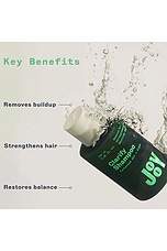 Travel Size Clarify Shampoo - thumbnail 9