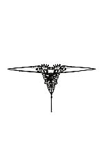 Lace Ouvert Thong - thumbnail 5