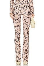Halcyon Legging