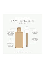 Noni Glow Face Oil 50ml - thumbnail 6