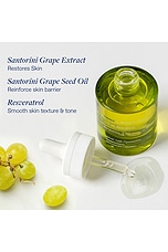 Santorini Grape Velvet Skin Drink - thumbnail 10