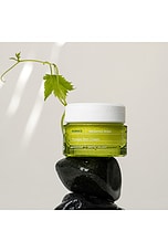 Santorini Grape Poreless Skin Cream - thumbnail 8