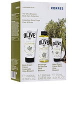 Olive Blossom Body Care Collection 3 Piece Set - thumbnail 5