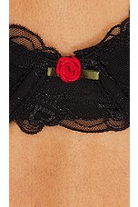 KAT THE LABEL Romeo Bra in Black | REVOLVE