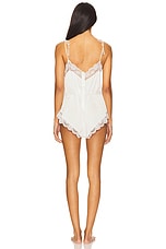 Arabella Teddy - thumbnail 6