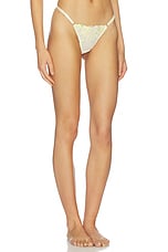 Amelia Thong - thumbnail 5