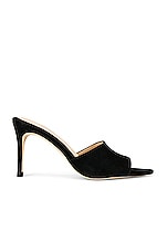 Lolita V Mule