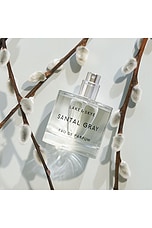 Santal Gray Eau De Parfum 1.7 Fl Oz - thumbnail 6