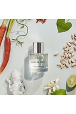 Santal Gray Eau De Parfum 1.7 Fl Oz - thumbnail 7