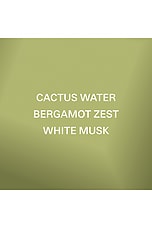 Cactus Water Hair Fragrance - thumbnail 7