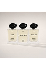 Cactus Water Hair Fragrance - thumbnail 8