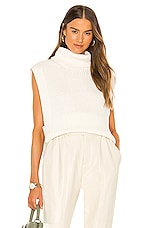 Collin Turtleneck Pullover