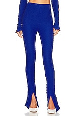 Raul Pant