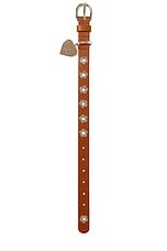 Flower Power Collar