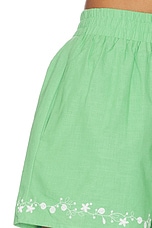 Tippi Embroidered Shorts - thumbnail 9