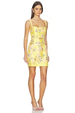 Golden Hour Lily Mini Dress - thumbnail 5