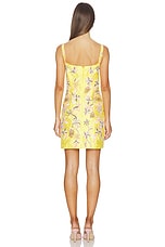 Golden Hour Lily Mini Dress - thumbnail 6