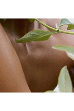 Bo Hydrating Lotion - thumbnail 7