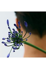 Bo Hydrating Lotion - thumbnail 8