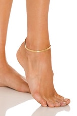 Product image of Lili Claspe Reggie Thick Anklet. Click to view full details