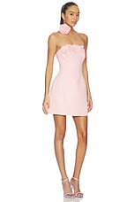 Roselle Applique Bustier Mini Dress - thumbnail 6