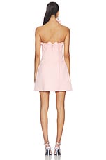 Roselle Applique Bustier Mini Dress - thumbnail 7