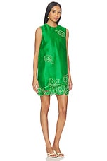 Yvonne Applique Mini Dress - thumbnail 5