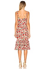 under the stars midi