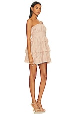 Lovers and Friends Barlow Mini Dress in Rosey Neutral | REVOLVE