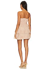 Barlow Mini Dress - thumbnail 10