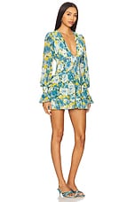 Eloise Mini Dress - thumbnail 4