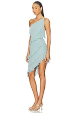 Kimberly Mini Dress - thumbnail 5