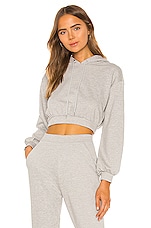 Product image of Lovers and Friends Quinn Hoodie. Click to view full details