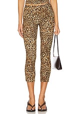 Carmen Capri Pant