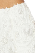 Lacy Mini Skirt - thumbnail 9
