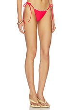 Sangria Bottom - thumbnail 5
