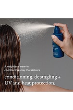 Leave-in Conditioning Spray - thumbnail 6