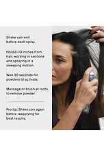 Perfect Hair Day Dry Shampoo Classic Clean Set - thumbnail 9